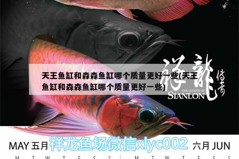 天王魚缸和森森魚缸哪個質(zhì)量更好一些(天王魚缸和森森魚缸哪個質(zhì)量更好一些)