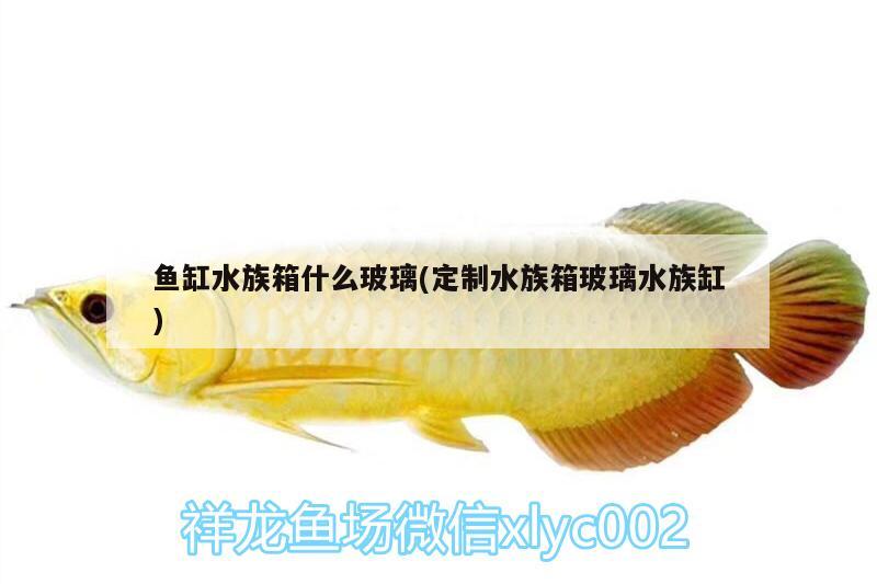 魚缸水族箱什么玻璃(定制水族箱玻璃水族缸)