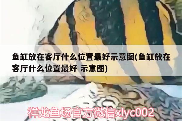 魚缸放在客廳什么位置最好示意圖(魚缸放在客廳什么位置最好示意圖)