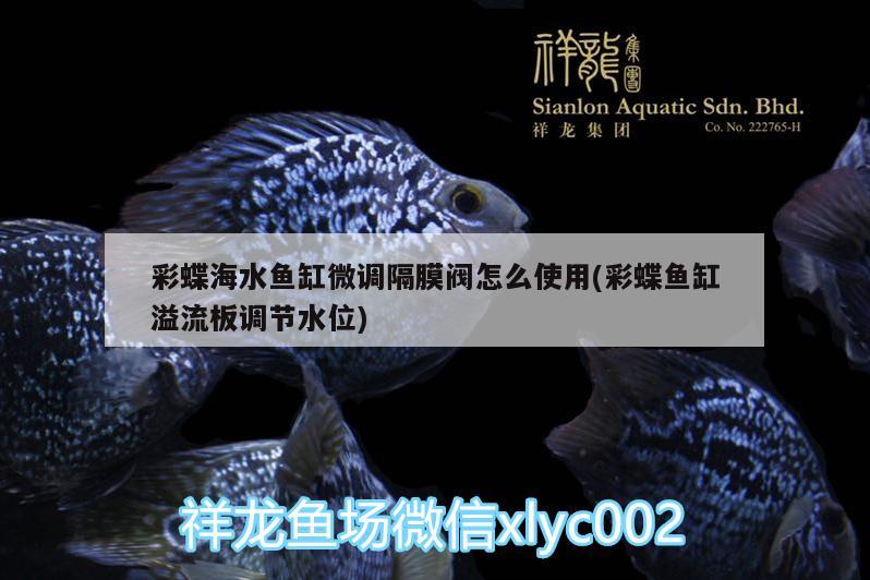 彩蝶海水魚(yú)缸微調(diào)隔膜閥怎么使用(彩蝶魚(yú)缸溢流板調(diào)節(jié)水位)