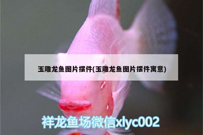 玉雕龍魚圖片擺件(玉雕龍魚圖片擺件寓意)