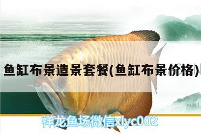 魚(yú)缸布景造景套餐(魚(yú)缸布景價(jià)格)