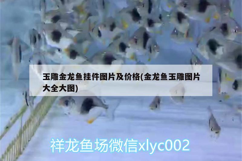 玉雕金龍魚掛件圖片及價格(金龍魚玉雕圖片大全大圖) 鴨嘴鯊魚