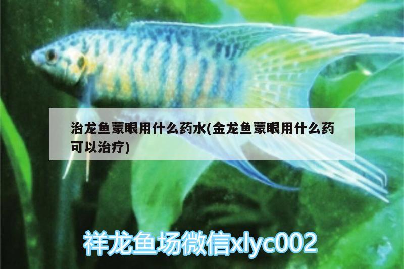 治龍魚蒙眼用什么藥水(金龍魚蒙眼用什么藥可以治療)