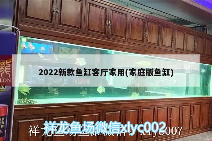 2022新款魚缸客廳家用(家庭版魚缸)