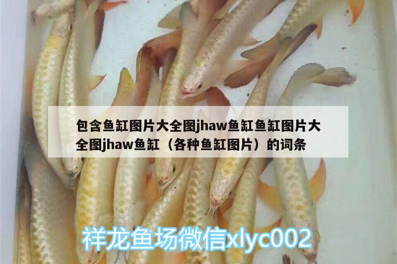 包含魚缸圖片大全圖jhaw魚缸魚缸圖片大全圖jhaw魚缸（各種魚缸圖片）的詞條 紅龍魚百科