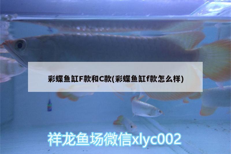 彩蝶魚缸F款和C款(彩蝶魚缸f款怎么樣)