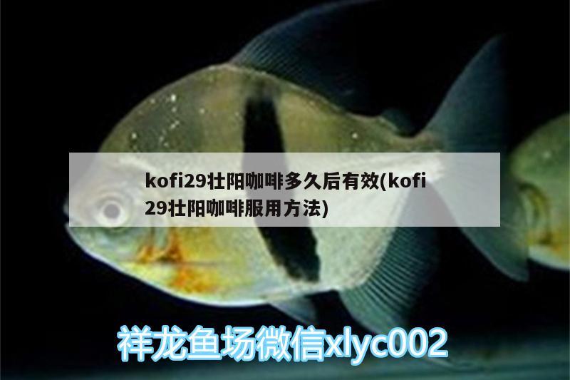 kofi29壯陽咖啡多久后有效(kofi29壯陽咖啡服用方法)