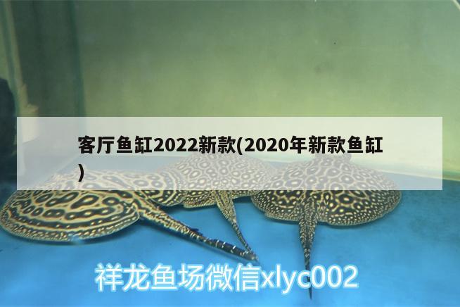 客廳魚缸2022新款(2020年新款魚缸) 熱帶魚魚苗批發(fā)