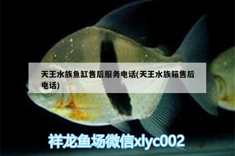 天王水族魚缸售后服務電話(天王水族箱售后電話) 魚缸/水族箱