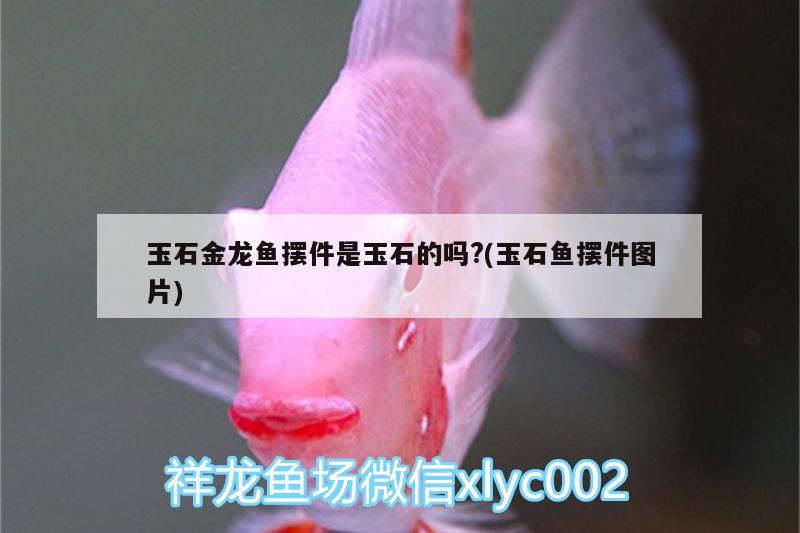 玉石金龍魚擺件是玉石的嗎?(玉石魚擺件圖片)