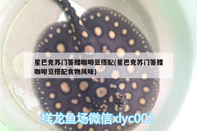 星巴克蘇門答臘咖啡豆搭配(星巴克蘇門答臘咖啡豆搭配食物風(fēng)味)