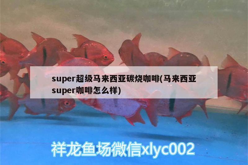 super超級(jí)馬來西亞碳燒咖啡(馬來西亞super咖啡怎么樣) 垂釣樂園