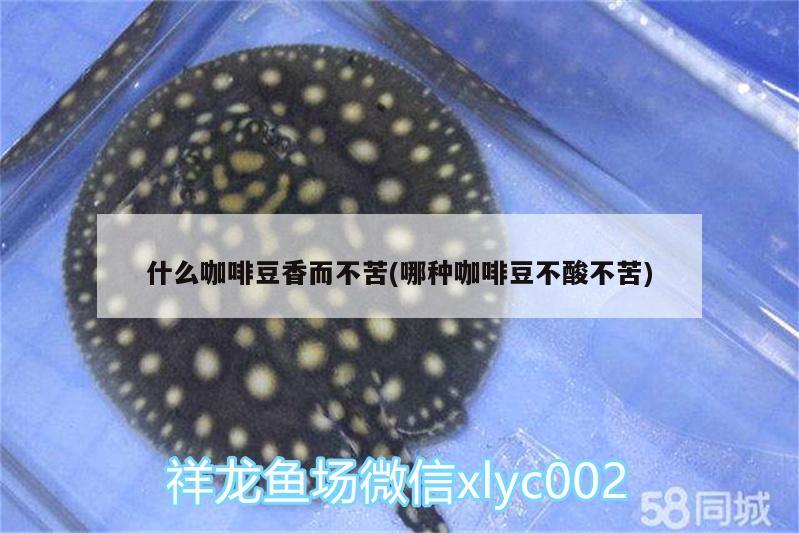 什么咖啡豆香而不苦(哪種咖啡豆不酸不苦) 馬來西亞咖啡