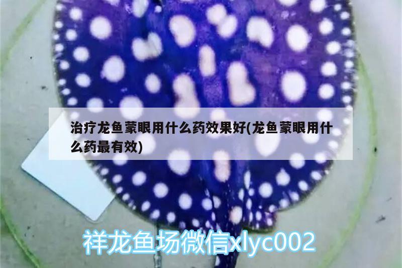 治療龍魚蒙眼用什么藥效果好(龍魚蒙眼用什么藥最有效) 白子紅龍魚