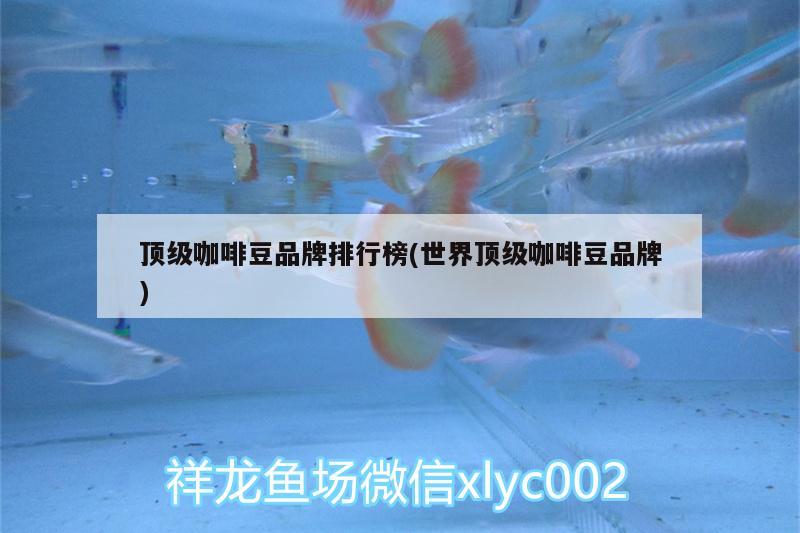 頂級咖啡豆品牌排行榜(世界頂級咖啡豆品牌) 馬來西亞咖啡