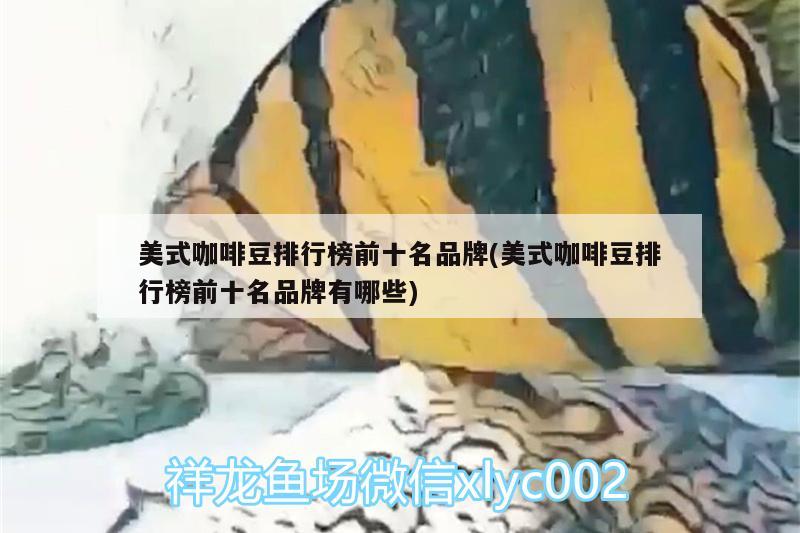 美式咖啡豆排行榜前十名品牌(美式咖啡豆排行榜前十名品牌有哪些) 馬來西亞咖啡