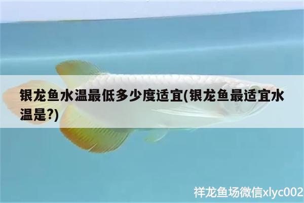 銀龍魚水溫最低多少度適宜(銀龍魚最適宜水溫是?) 銀龍魚百科