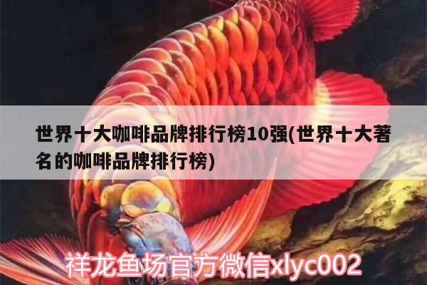 世界十大咖啡品牌排行榜10強(qiáng)(世界十大著名的咖啡品牌排行榜)