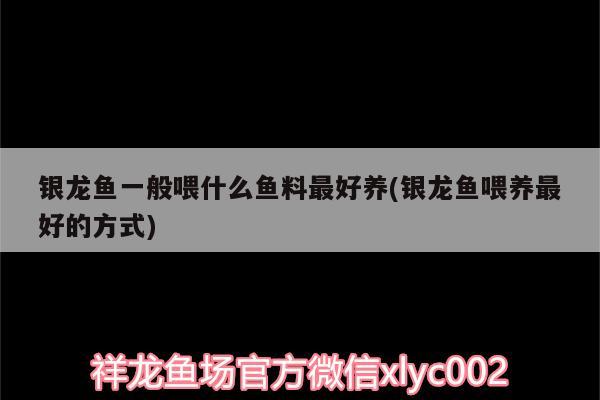 銀龍魚一般喂什么魚料最好養(yǎng)(銀龍魚喂養(yǎng)最好的方式) 銀龍魚百科