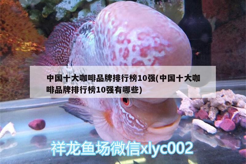 中國十大咖啡品牌排行榜10強(中國十大咖啡品牌排行榜10強有哪些)