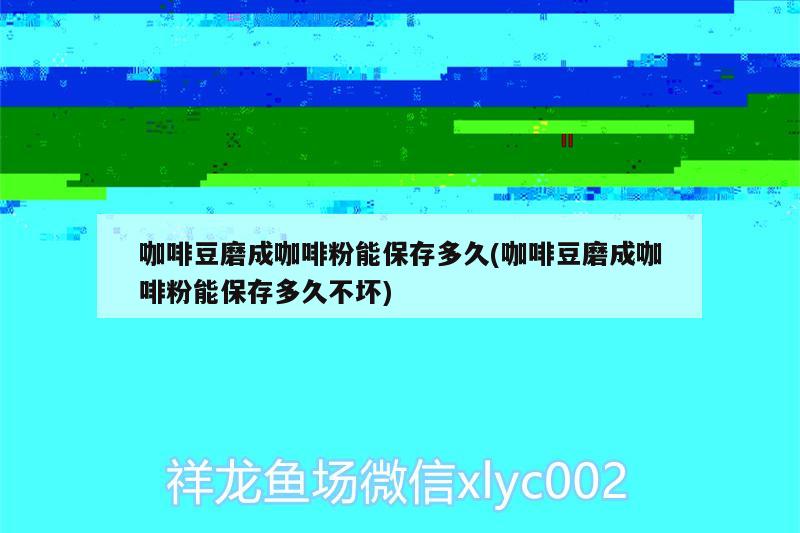 咖啡豆磨成咖啡粉能保存多久(咖啡豆磨成咖啡粉能保存多久不壞) 馬來西亞咖啡