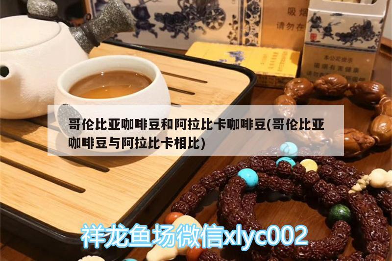 哥倫比亞咖啡豆和阿拉比卡咖啡豆(哥倫比亞咖啡豆與阿拉比卡相比)