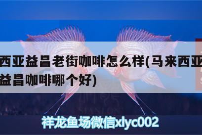 馬來(lái)西亞益昌老街咖啡怎么樣(馬來(lái)西亞舊街場(chǎng)和益昌咖啡哪個(gè)好)