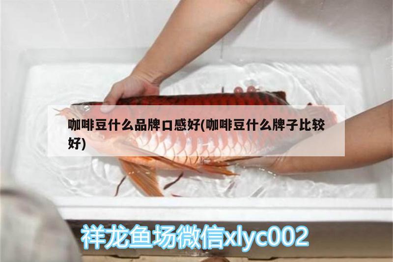 咖啡豆什么品牌口感好(咖啡豆什么牌子比較好) 馬來西亞咖啡