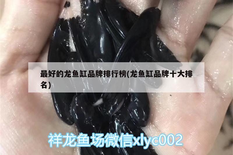 最好的龍魚缸品牌排行榜(龍魚缸品牌十大排名)