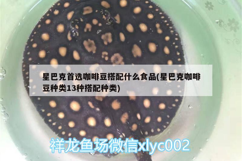 星巴克首選咖啡豆搭配什么食品(星巴克咖啡豆種類13種搭配種類)