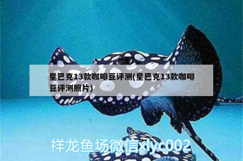 星巴克13款咖啡豆評(píng)測(cè)(星巴克13款咖啡豆評(píng)測(cè)照片) 馬來(lái)西亞咖啡