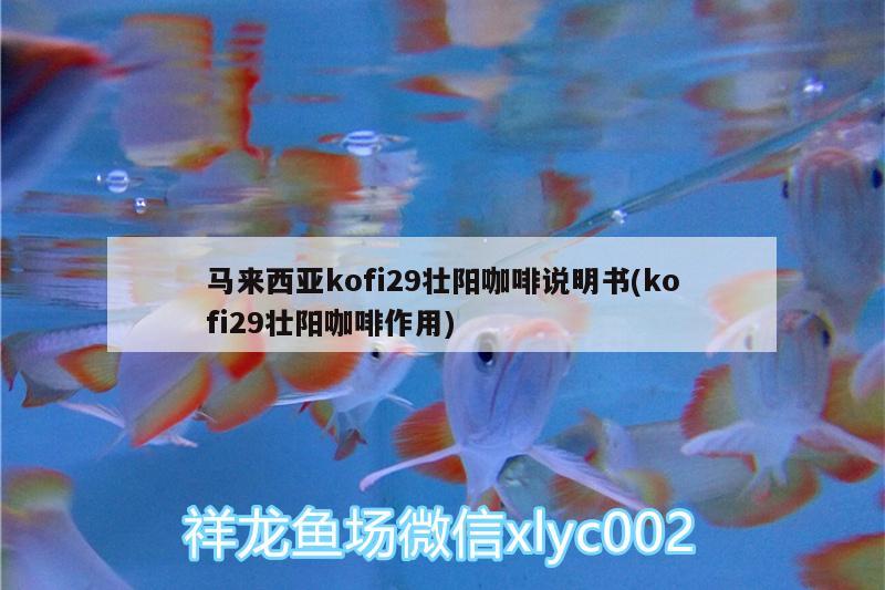 馬來西亞kofi29壯陽咖啡說明書(kofi29壯陽咖啡作用) 馬來西亞咖啡