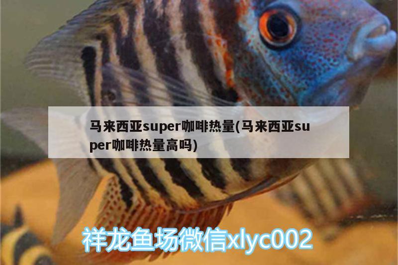 馬來西亞super咖啡熱量(馬來西亞super咖啡熱量高嗎)