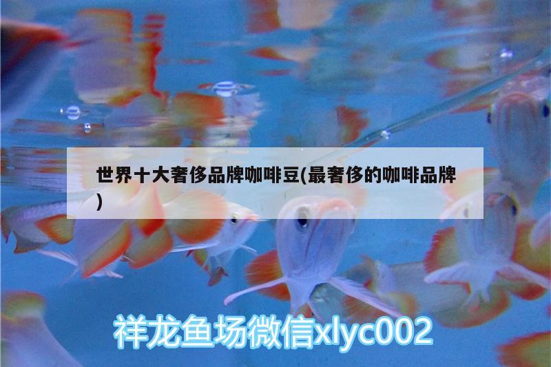 世界十大奢侈品牌咖啡豆(最奢侈的咖啡品牌) 馬來西亞咖啡