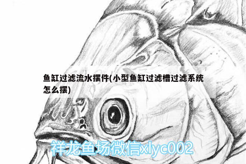 魚缸過濾流水?dāng)[件(小型魚缸過濾槽過濾系統(tǒng)怎么擺) 大湖紅龍魚