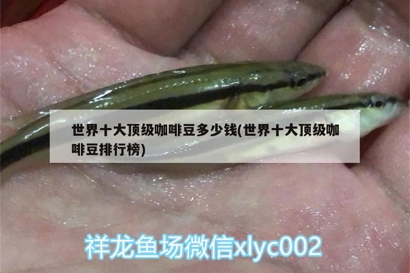 世界十大頂級咖啡豆多少錢(世界十大頂級咖啡豆排行榜)