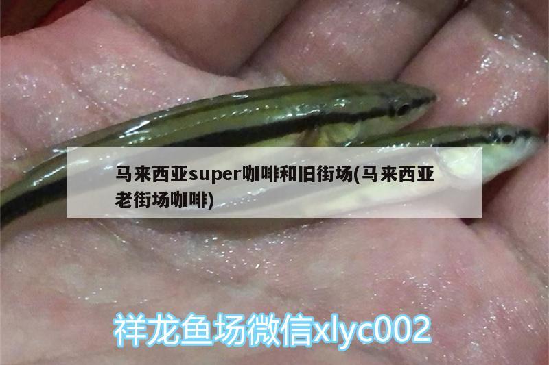 馬來(lái)西亞super咖啡和舊街場(chǎng)(馬來(lái)西亞老街場(chǎng)咖啡) 垂釣樂(lè)園