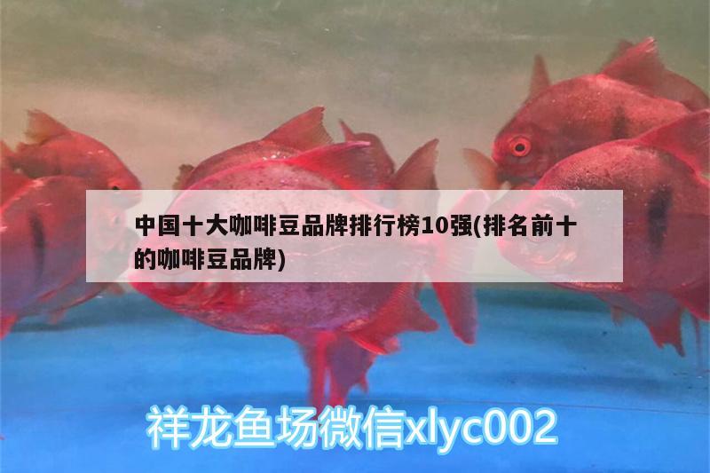 中國十大咖啡豆品牌排行榜10強(qiáng)(排名前十的咖啡豆品牌)