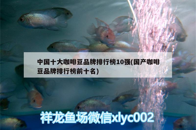 中國十大咖啡豆品牌排行榜10強(qiáng)(國產(chǎn)咖啡豆品牌排行榜前十名)