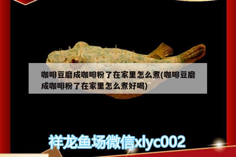 咖啡豆磨成咖啡粉了在家里怎么煮(咖啡豆磨成咖啡粉了在家里怎么煮好喝)