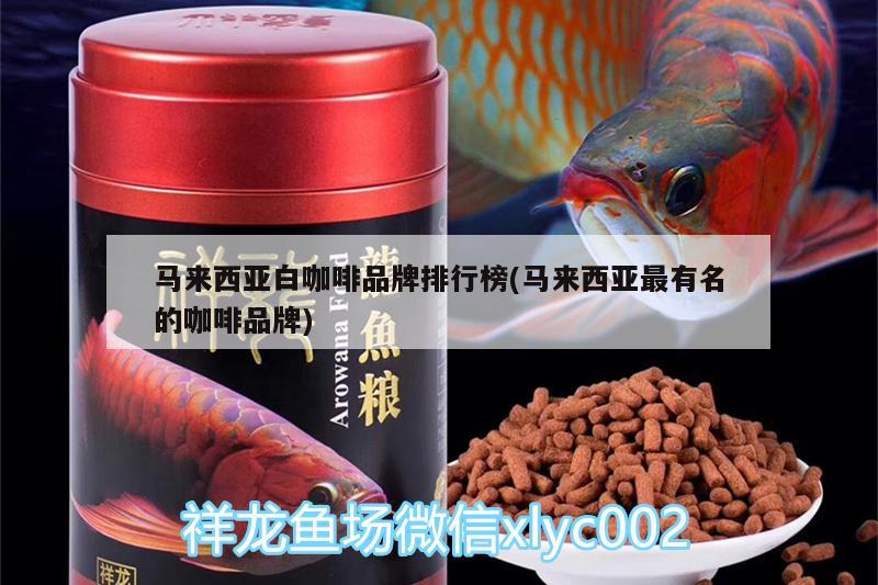 馬來(lái)西亞白咖啡品牌排行榜(馬來(lái)西亞最有名的咖啡品牌)