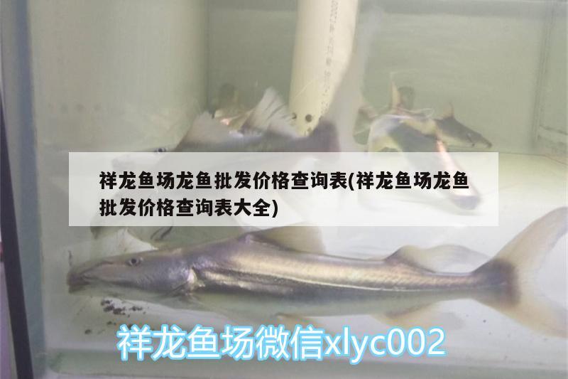 祥龍魚場(chǎng)龍魚批發(fā)價(jià)格查詢表(祥龍魚場(chǎng)龍魚批發(fā)價(jià)格查詢表大全) 龍魚批發(fā)