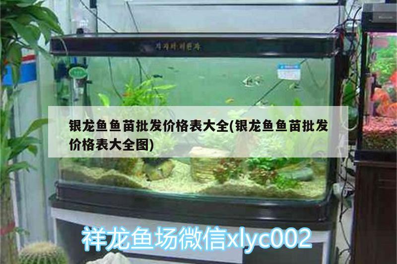 銀龍魚魚苗批發(fā)價格表大全(銀龍魚魚苗批發(fā)價格表大全圖) 銀龍魚