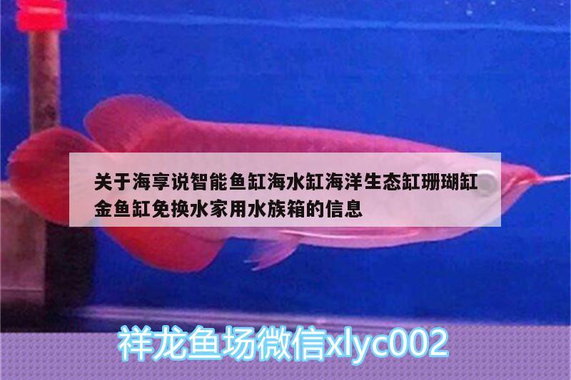 關(guān)于海享說智能魚缸海水缸海洋生態(tài)缸珊瑚缸金魚缸免換水家用水族箱的信息 魚缸/水族箱