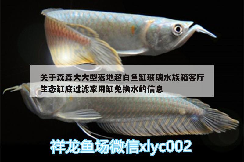 關(guān)于森森大大型落地超白魚缸玻璃水族箱客廳生態(tài)缸底過濾家用缸免換水的信息 魚缸/水族箱