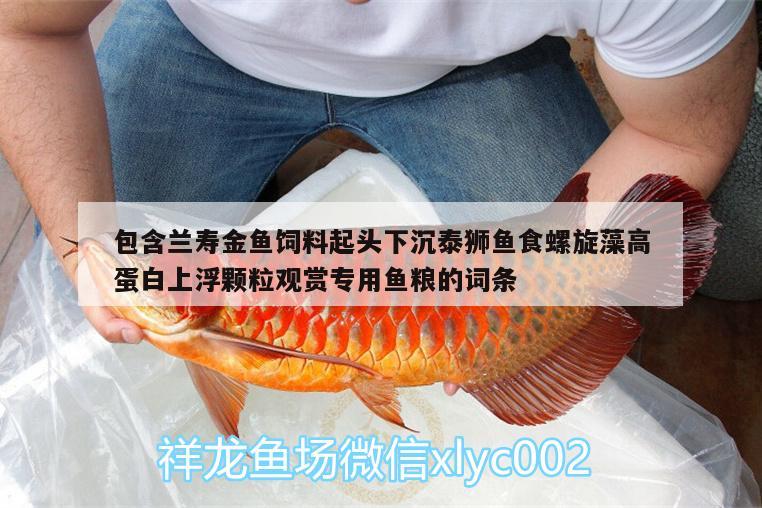 包含蘭壽金魚飼料起頭下沉泰獅魚食螺旋藻高蛋白上浮顆粒觀賞專用魚糧的詞條