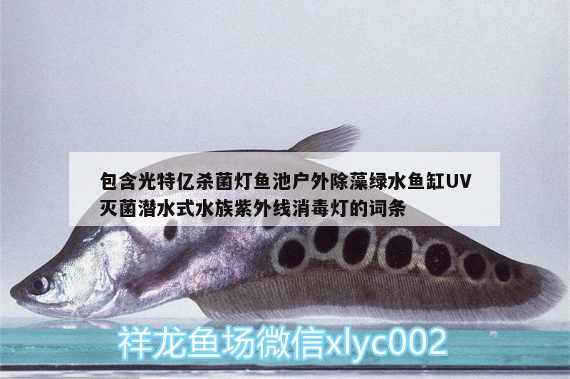 包含光特億殺菌燈魚池戶外除藻綠水魚缸UV滅菌潛水式水族紫外線消毒燈的詞條 光特億