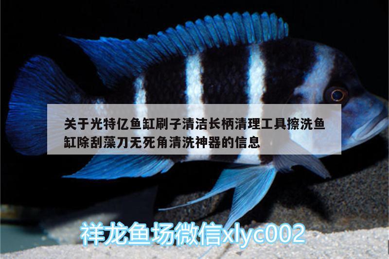 關于光特億魚缸刷子清潔長柄清理工具擦洗魚缸除刮藻刀無死角清洗神器的信息 光特億