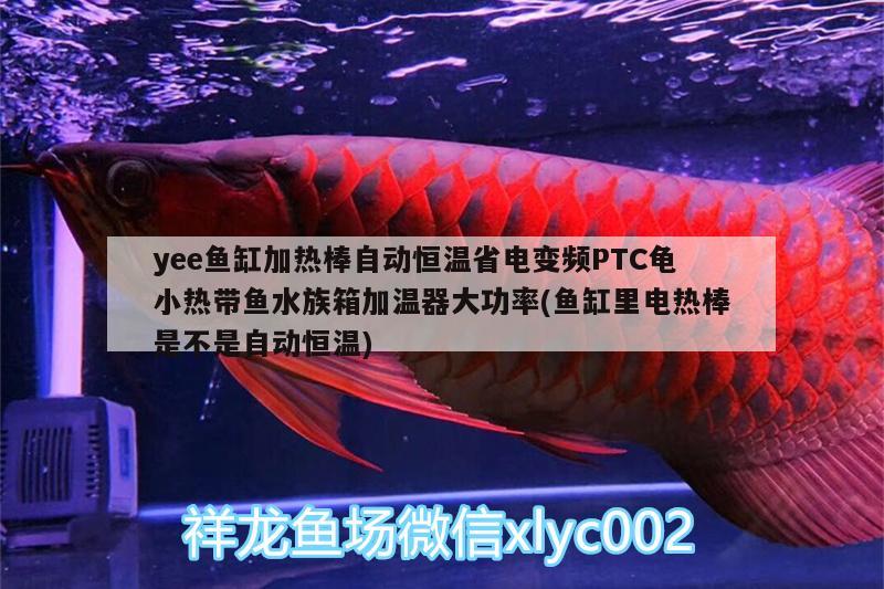 yee魚缸加熱棒自動(dòng)恒溫省電變頻PTC龜小熱帶魚水族箱加溫器大功率(魚缸里電熱棒是不是自動(dòng)恒溫)